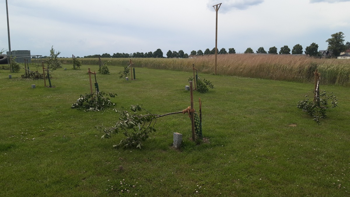 POL-REK: 210630-1: Sachbeschädigung auf der Storchenwiese