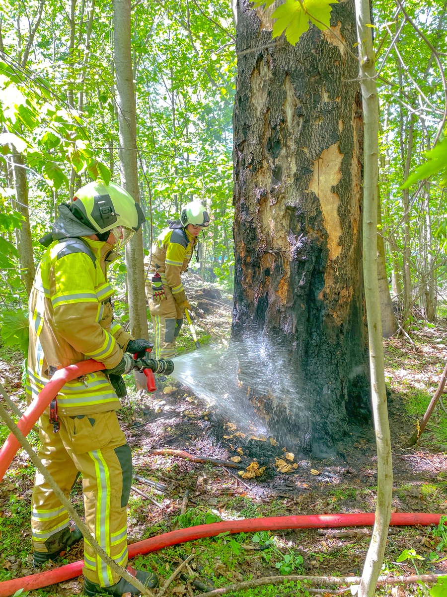 FW Dresden: Mehrere kleinere Waldbrände in der Dresdner Heide