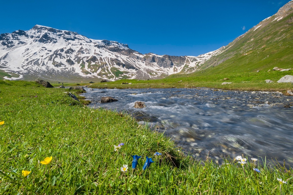 Engstligenalp startet in die Sommersaison: Erlebnisse auf höchster Ebene