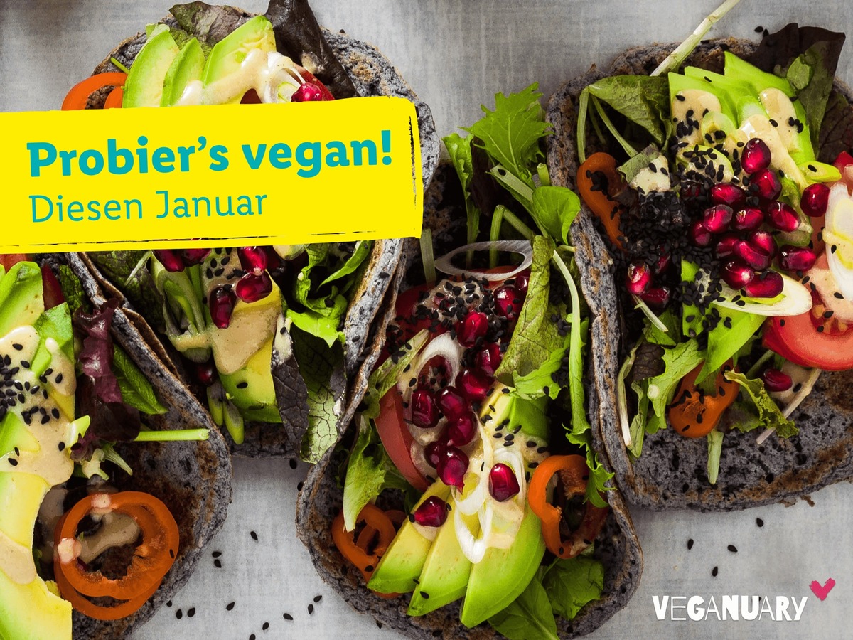 Mit Lidl durch den Veganuary 2022 / Vegane Aktionsprodukte, Rezepte und Co.