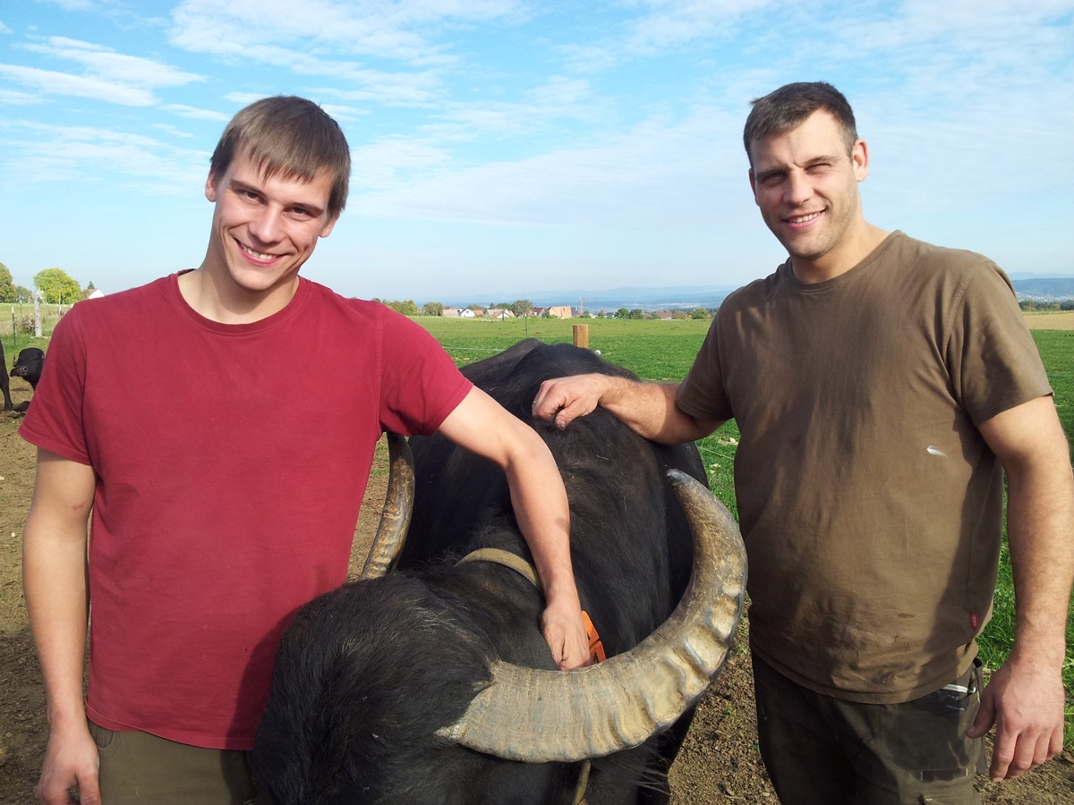 Wer hütet bloß Hof und Tiere? 50. Folge der &quot;Büffelranch&quot; zum Start der neuen Staffel im ZDF (FOTO)