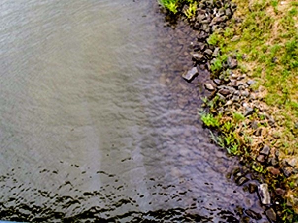 POL-DU: Datteln-Hamm: Gewässerverunreinigung im Kanal