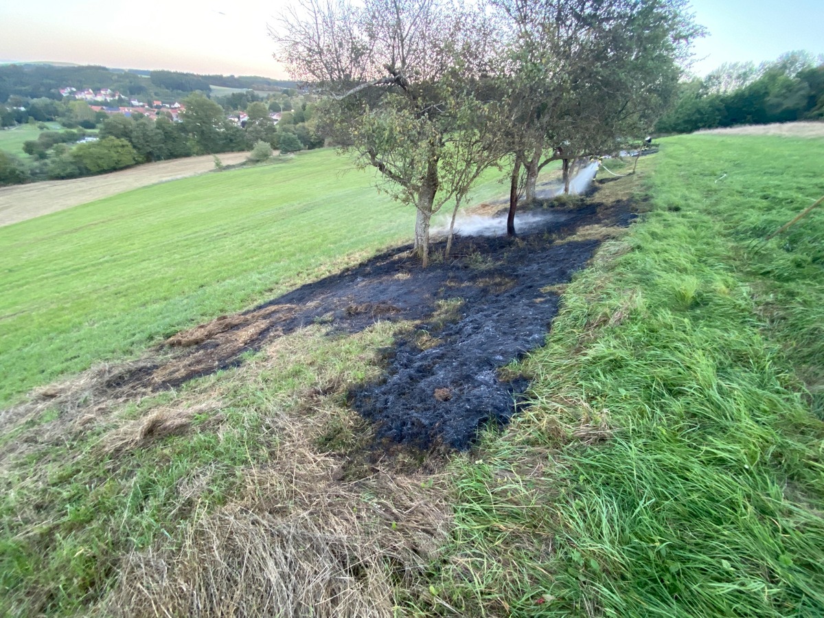 POL-PDKL: Dornenhecke in Brand gesetzt