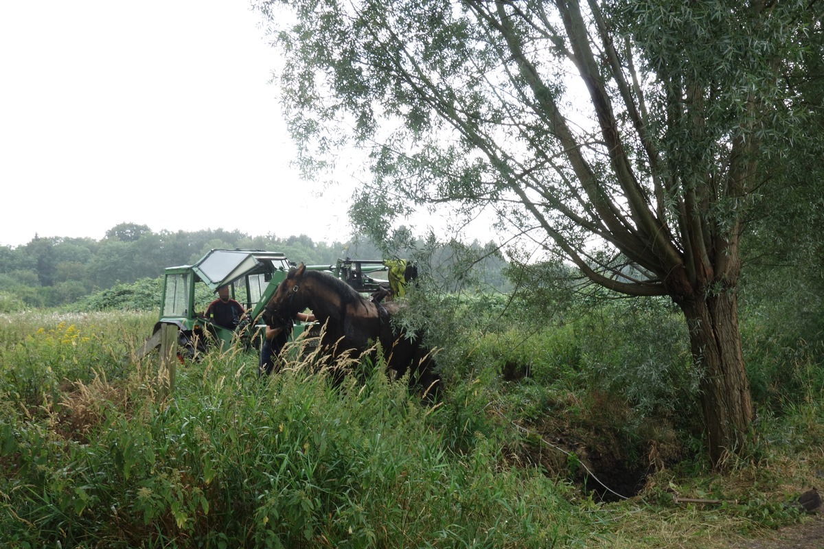 FW Bremerhaven: Pferd aus Graben befreit