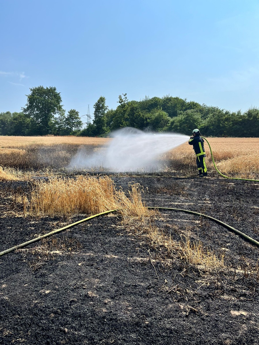 FW-BO: Flächenbrand in Langendreer