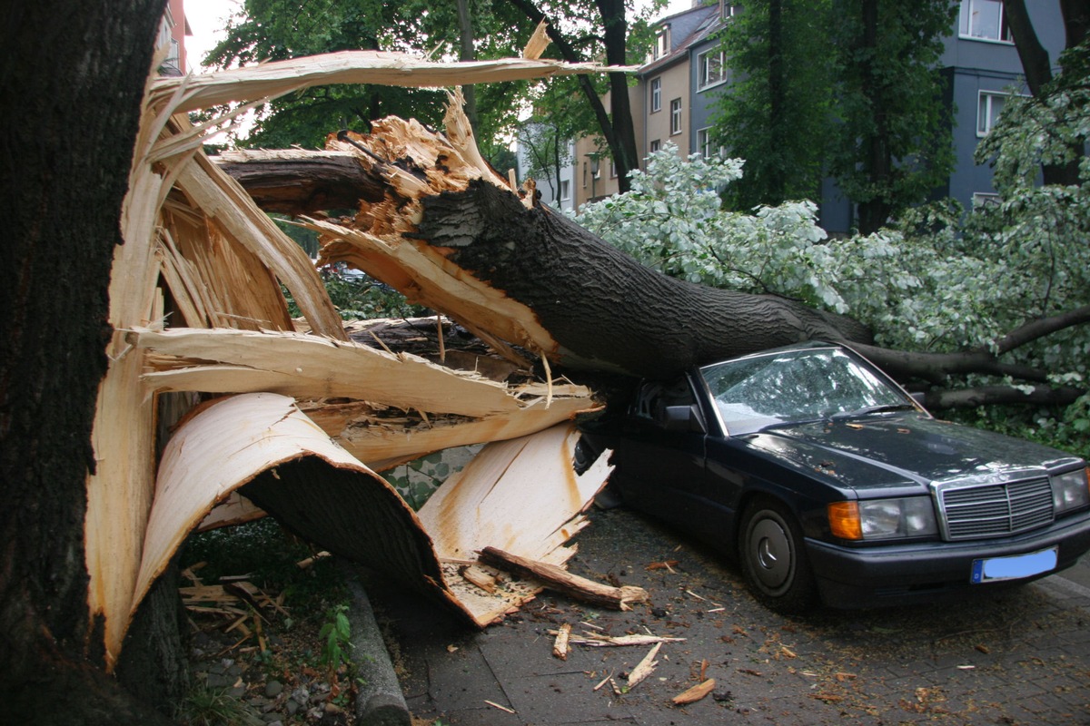 FW-E: Bildmaterial zur Meldung vom 26.07.2006, 20.10 Uhr