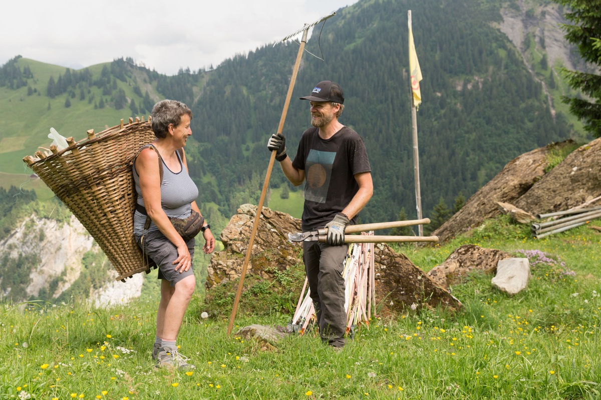 Bergbauern suchen 1000 Freiwillige, die nicht zu Corona-Risikogruppen gehören