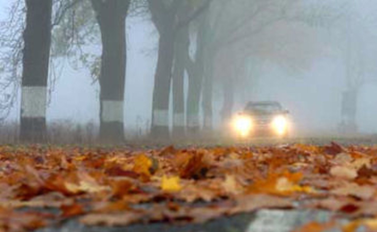 POL-PPWP: Herbst - tückische Fahrbahn