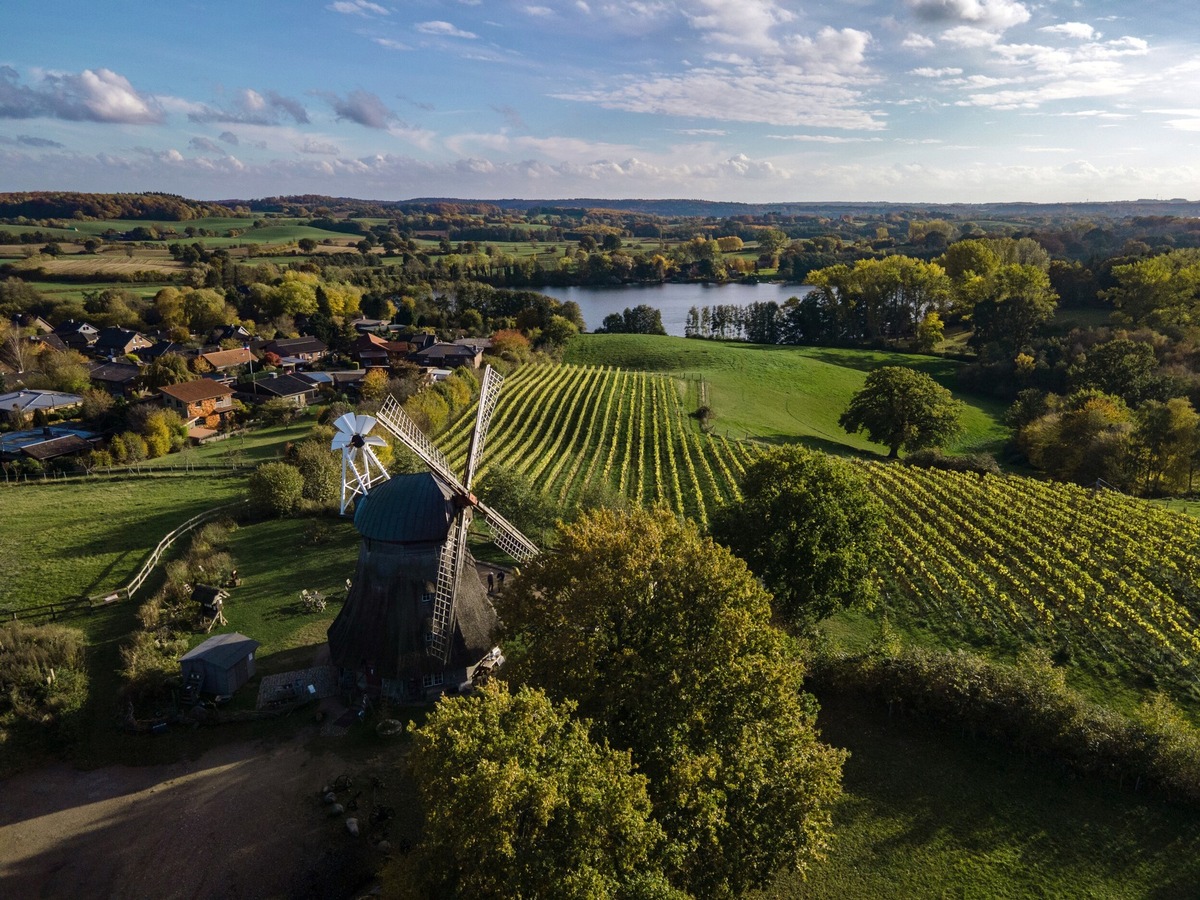 Aktuelle Presseinfo der TA.SH: Feine Tropfen aus Schleswig-Holstein