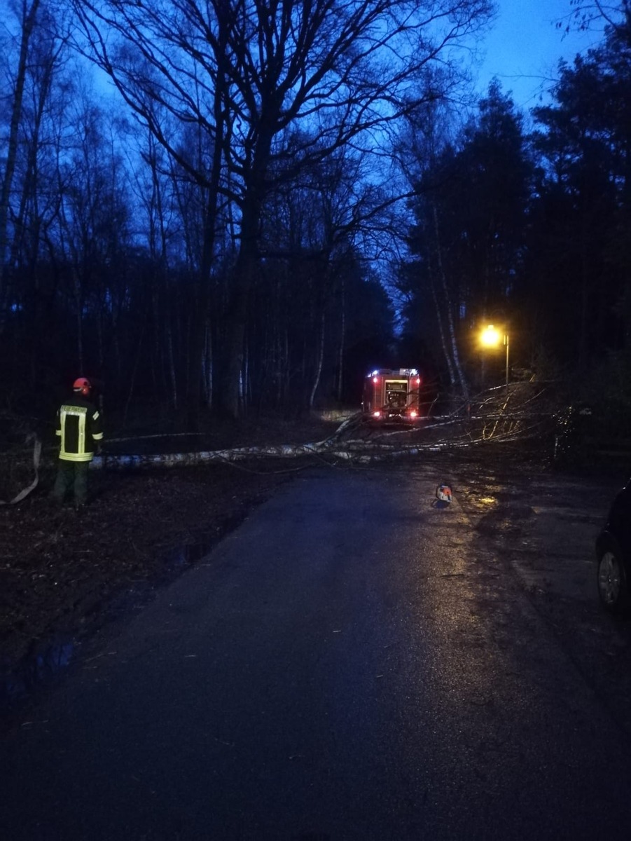 FW Flotwedel: Baum droht auf Fahrbahn zu stürzen