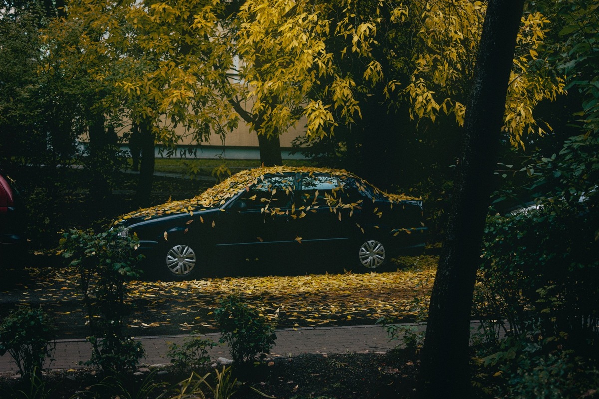 Auto verkaufen Schweiz - So verkaufen Sie Ihr Auto innert kürzester Zeit zum besten Preis auf dem internationalen Markt