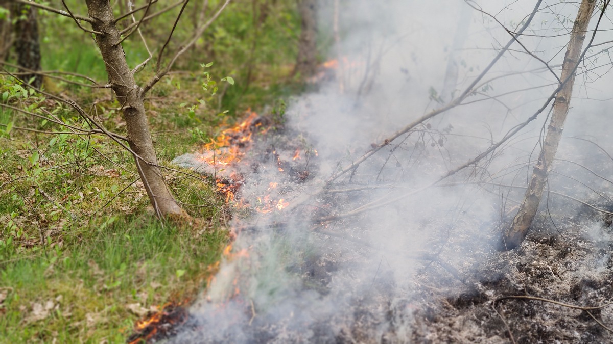 FW Celle: Böschungsbrand an der DB-Strecke zwischen Celle und Eschede - Feuerwehren im Großeinsatz!