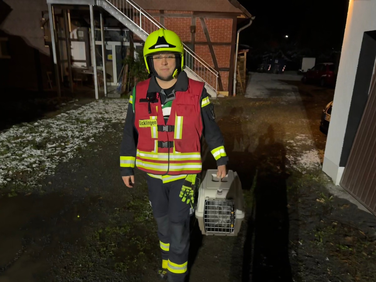 FW Flotwedel: Möglicher Kohlenmonoxidaustritt - Feuerwehr rettet zwei Katzen