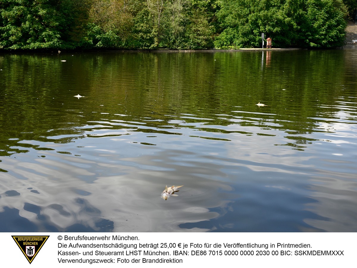 FW-M: Fischsterben im Westparksee (Westpark)