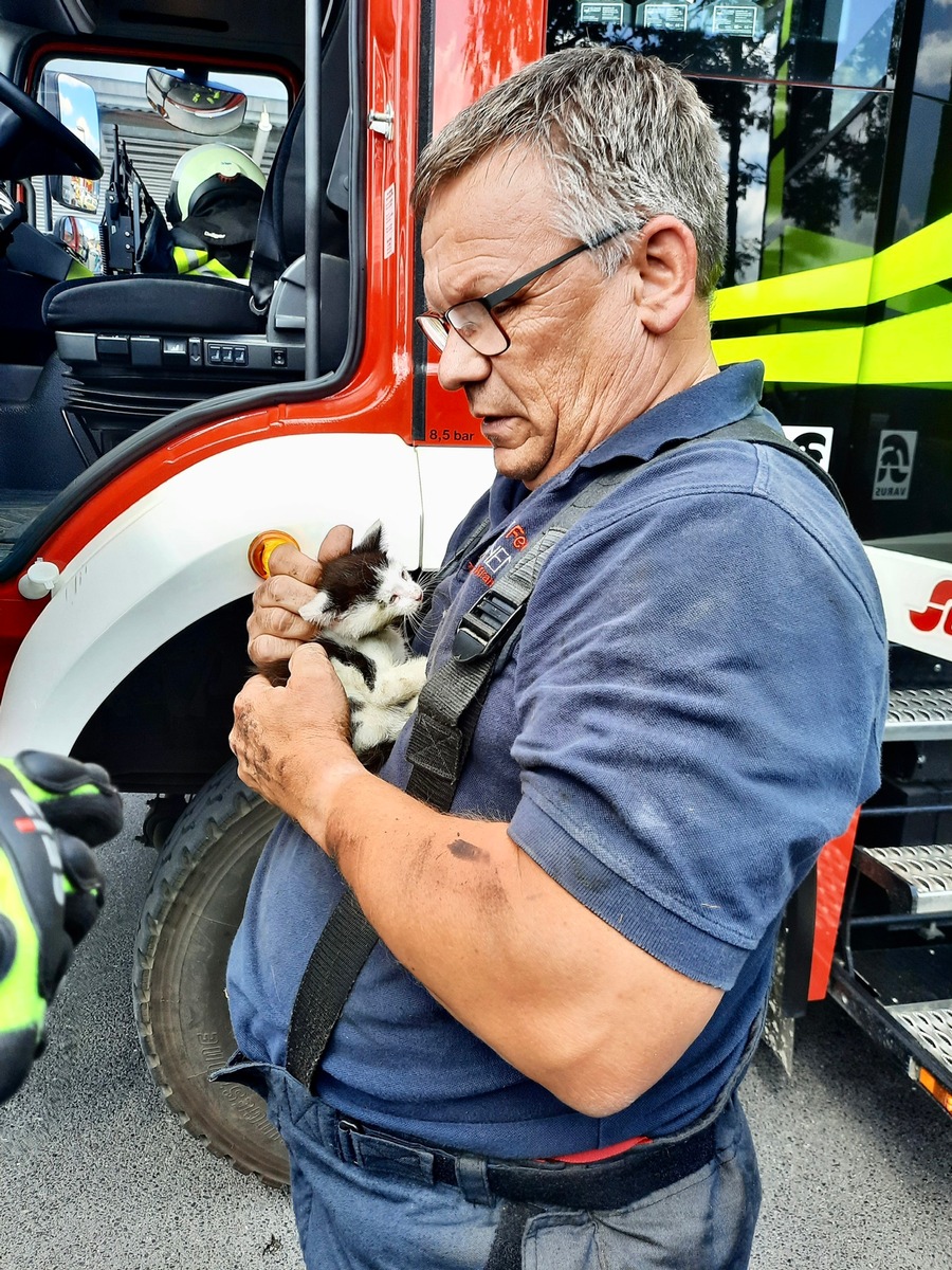 FW Kranenburg: Katze im Motorraum