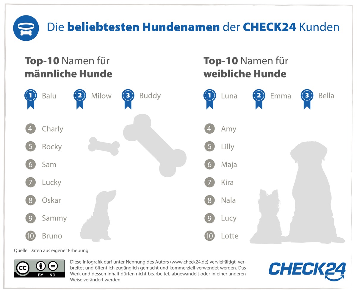 Luna, Balu und Emma - Das sind die beliebtesten Hundenamen