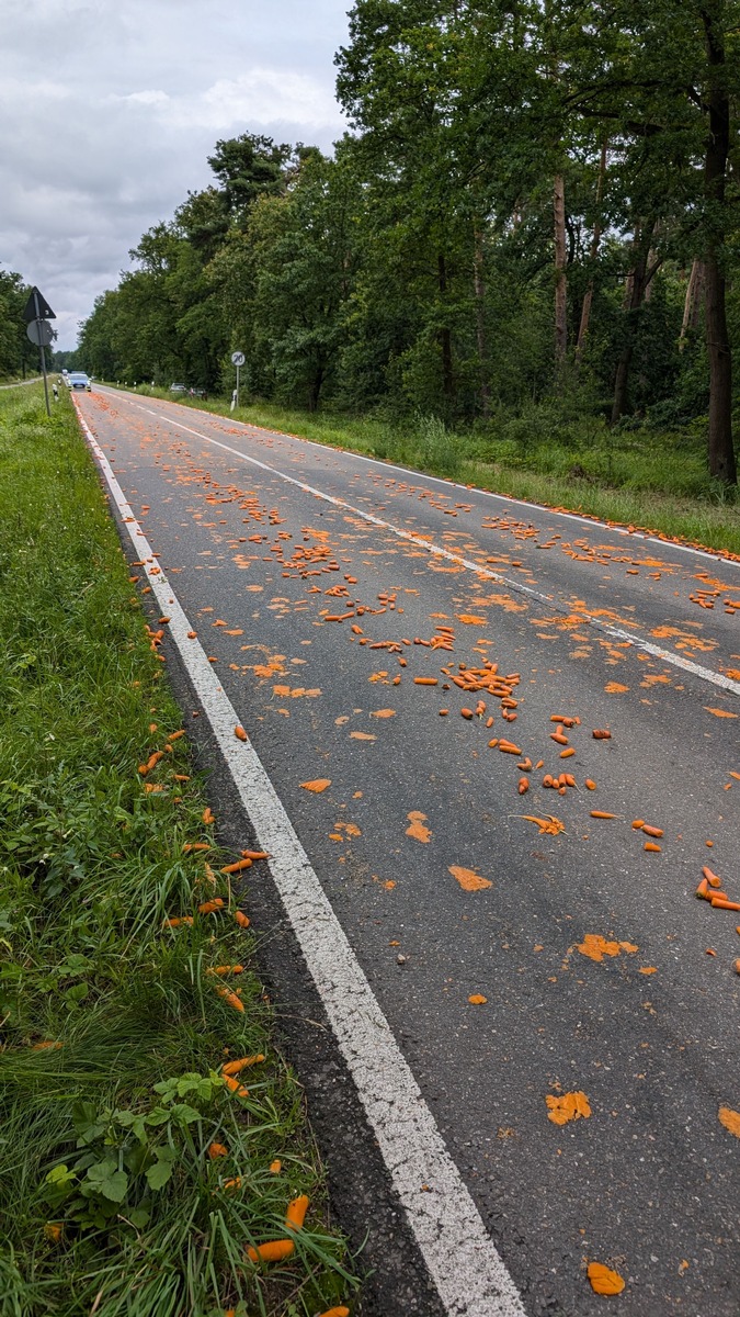 POL-PDNW: Haßloch - defekte Ladeklappe verursacht kurzeitige Verkehrsbehinderung