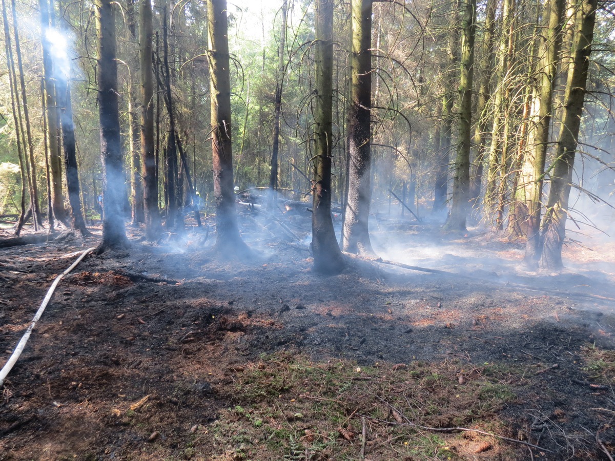 POL-PDWIL: Brand in einem Waldstück am Schwarzen Mann 
Schnelles Eingreifen der örtlichen Wehren verhindert Schlimmeres