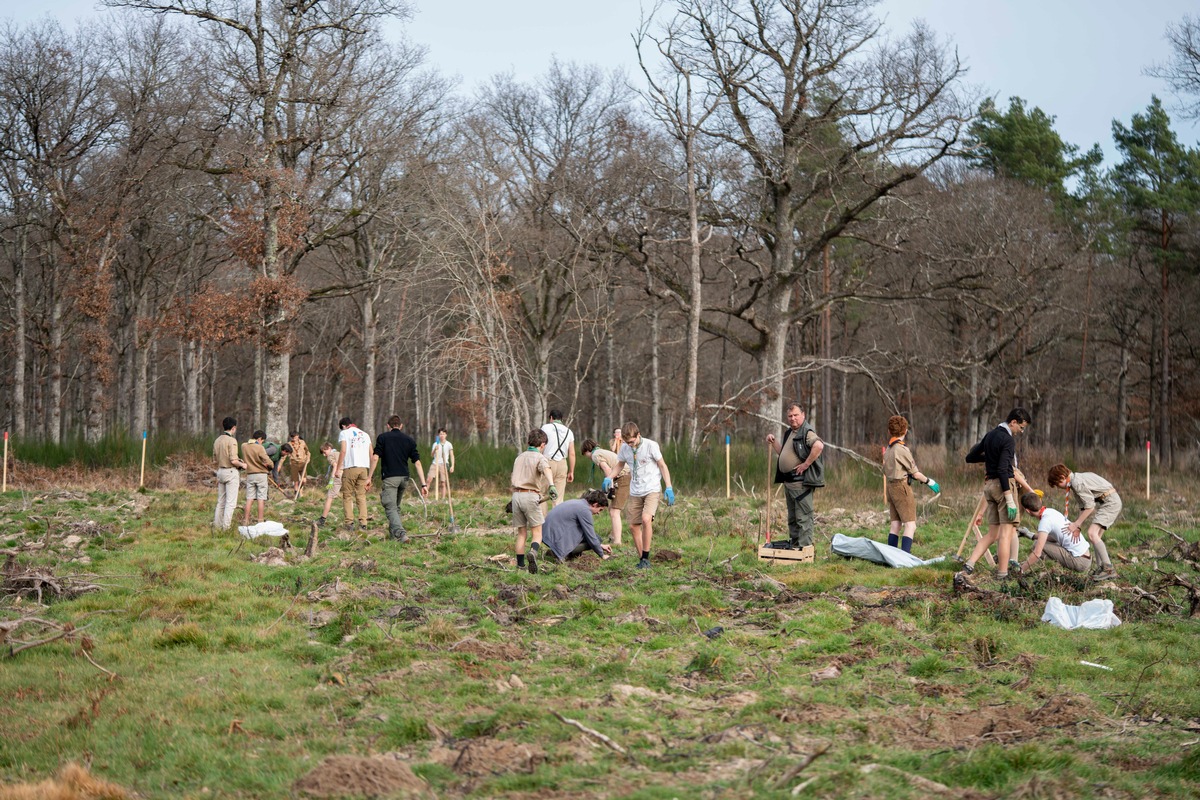 Journée internationale de l&#039;arbre - Projet de plantation pour l’avenir de Chambord