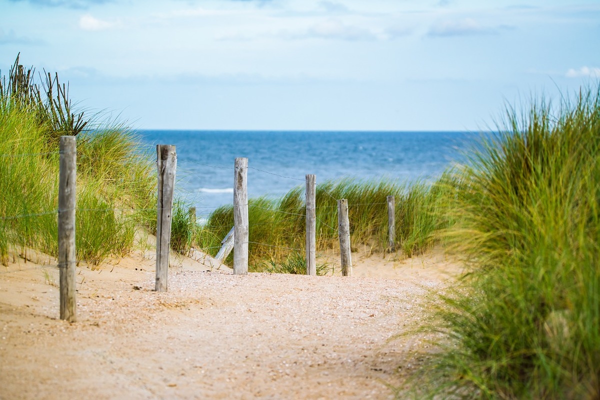 Digitalisierung als Buchungskriterium: Nordsee-Gäste erwarten digitale Angebote