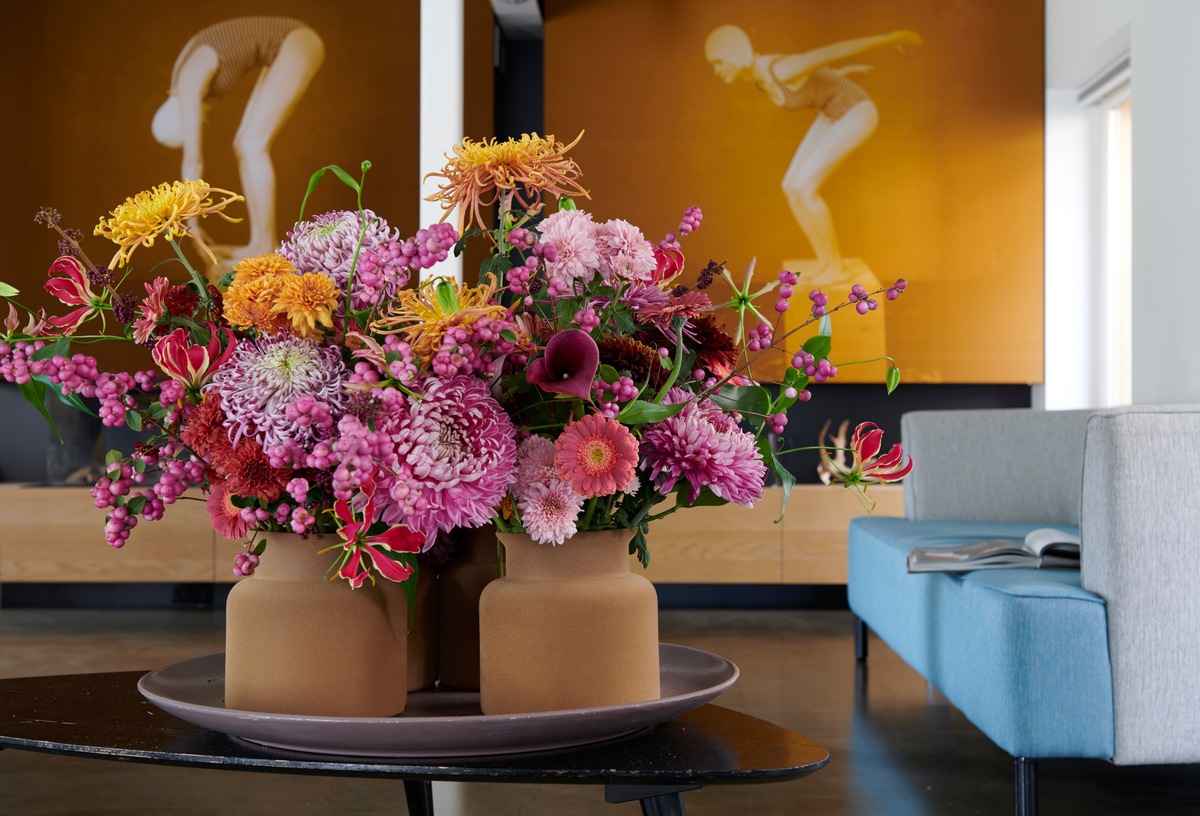 Die Mischung macht&#039;s / Chrysanthemen faszinieren mit ihrer großen Farben- und Formenvielfalt