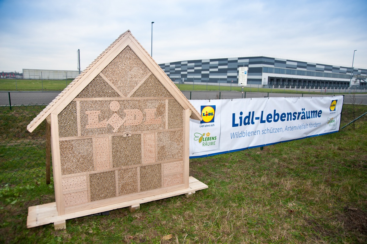 &quot;Jeder Quadratmeter zählt&quot;: Lidl-Lebensräume rollt Programm zum Wildbienen- und Artenschutz weiter aus (FOTO)