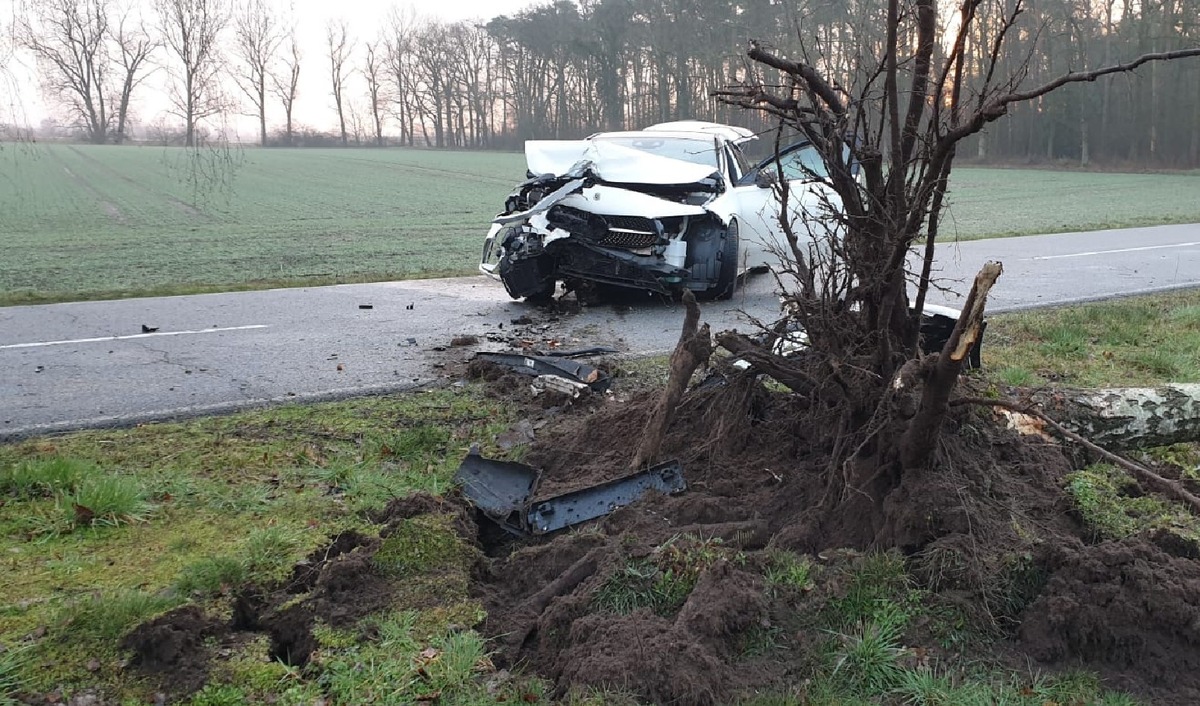 POL-VER: Einbruch in Firma + Polizei sucht Zeugen + Mit Baum kollidiert + Missachtung eines Stoppschilds + Unter Drogeneinfluss und ohne Führerschein Unfall verursacht + Transporter überladen + ...