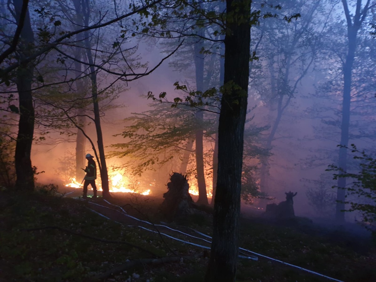 FW-EN: Wetter -Waldbrand am Morgen-