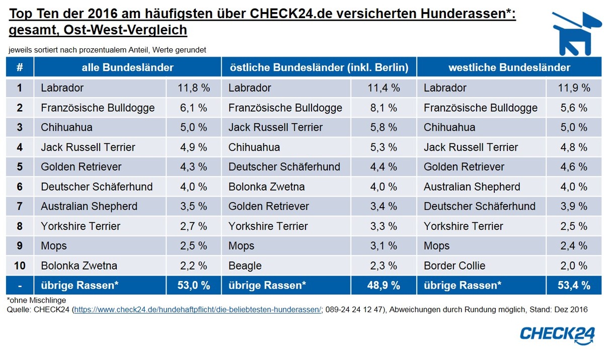 Hundehaftpflichtversicherung: Labrador beliebteste Hunderasse 2016