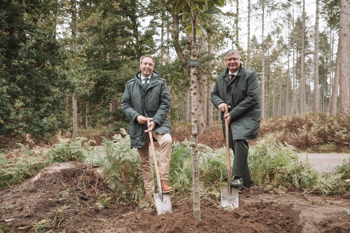 Ein FriedWald für Niederkrüchten