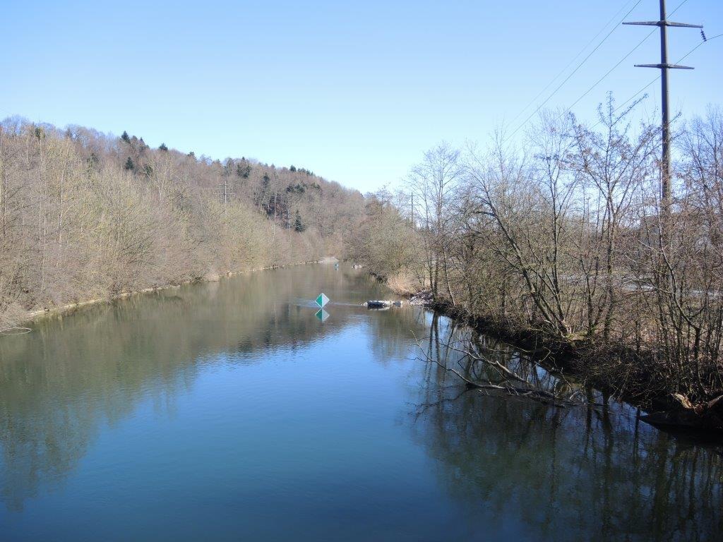 Aarekanal bei Wangen an der Aare / Aare-Flusslandschaft dank Ökofonds renaturiert