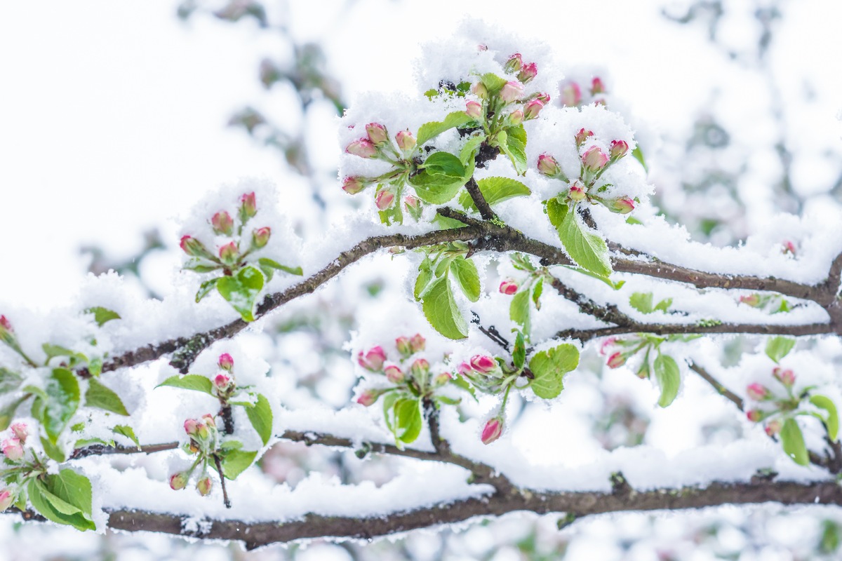 April, April - der macht, was er will! / Das ist Aprilwetter