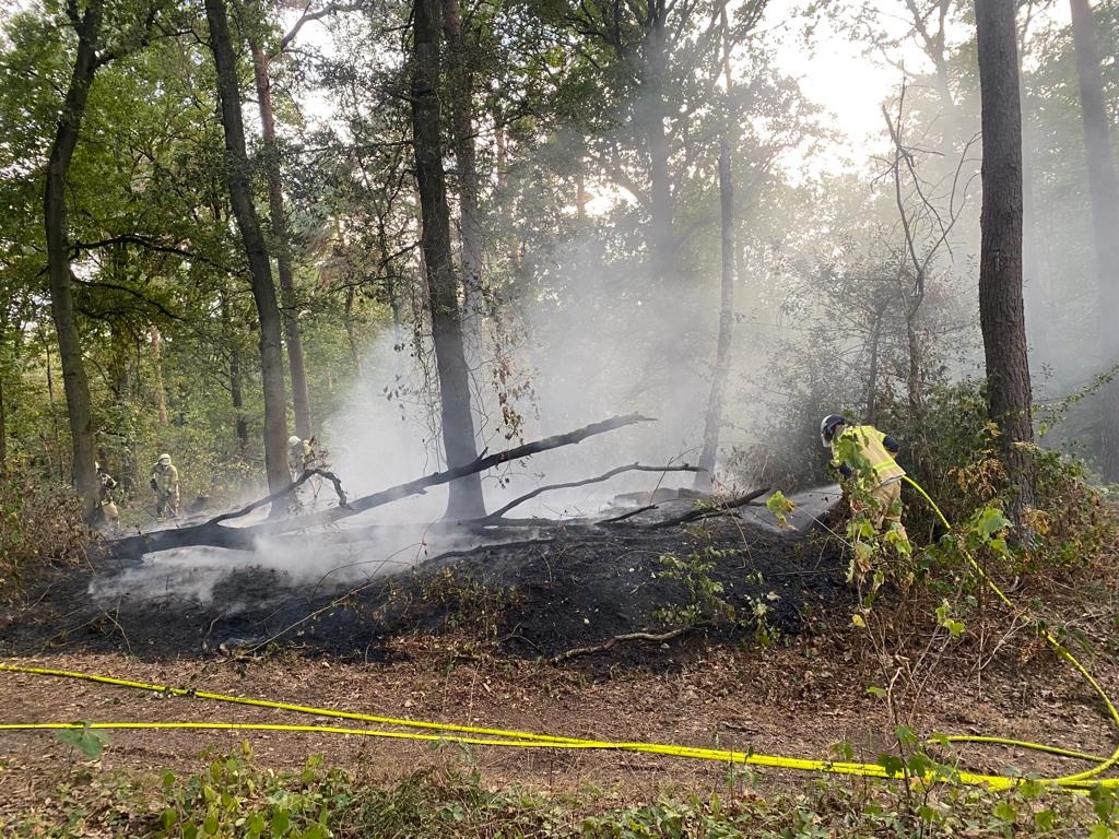 FW Xanten: Bodenfeuer in der Hees