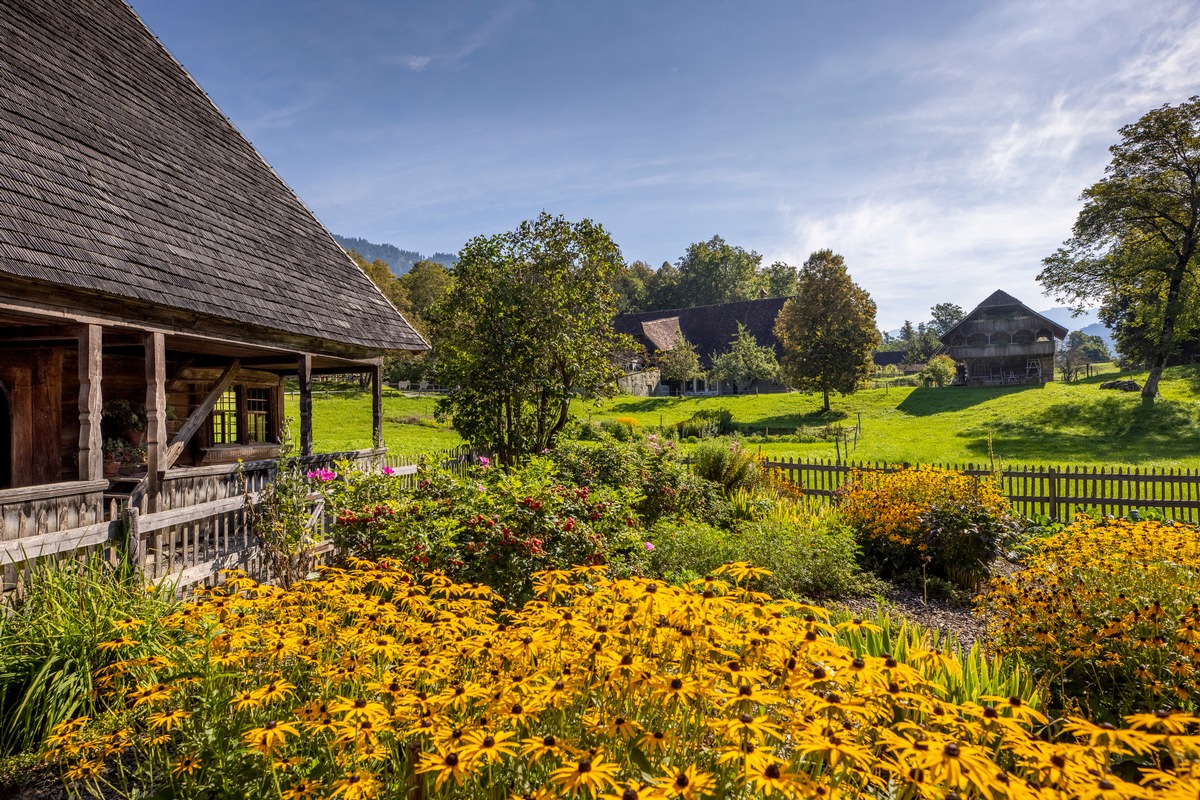 Positives Jahresergebnis 2021 für den Ballenberg / Freilichtmuseum und Kurszentrum blicken auf ein intensives Jahr zurück