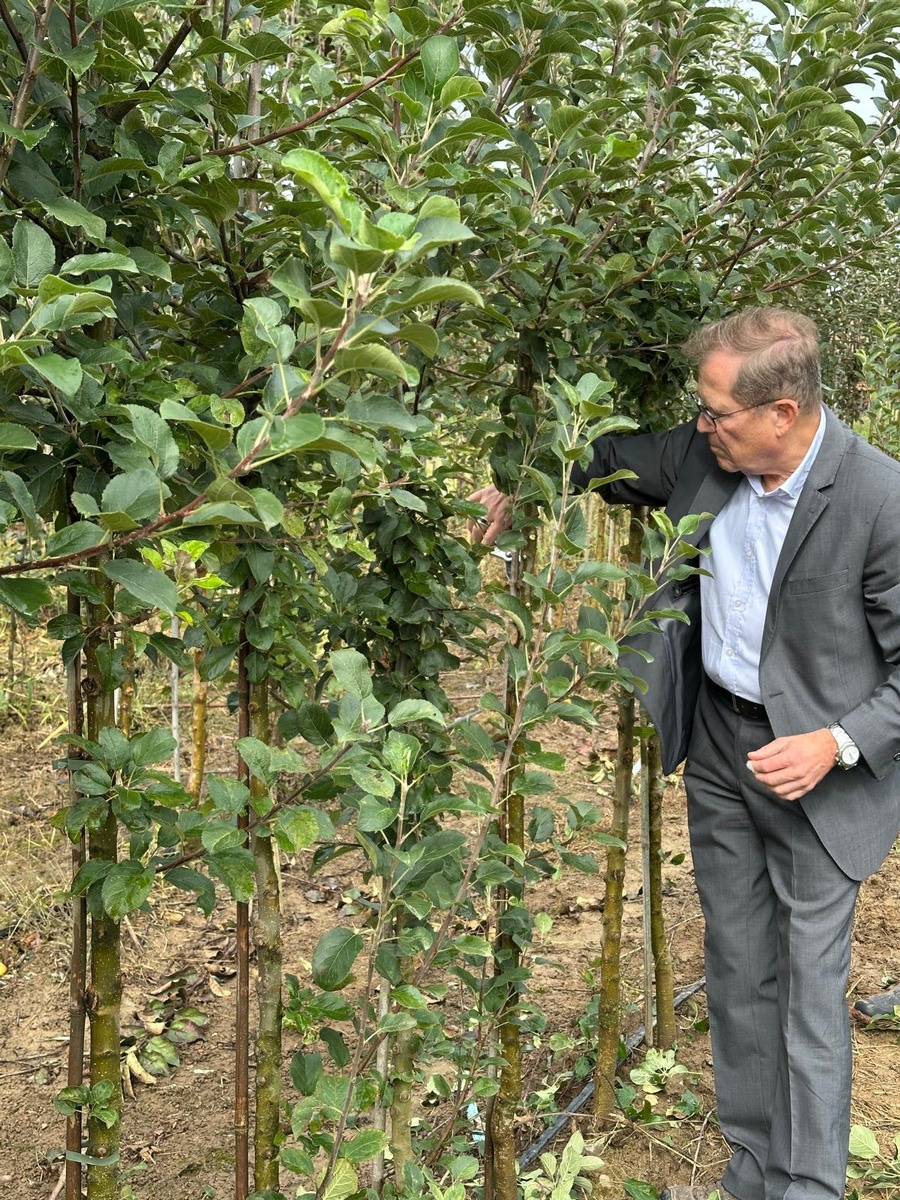 MdB Rainer Semet absolviert &quot;Praktikum&quot; in Baumschule