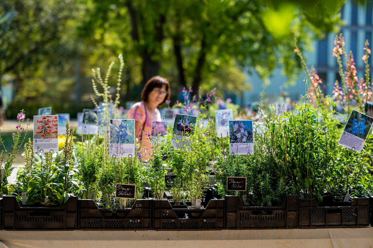 Das freut nicht nur die Gartenfans: Sondertagespreis von 10 Euro für die Thüringer Gartentage am 26. und 27. August 2023 im egapark Erfurt