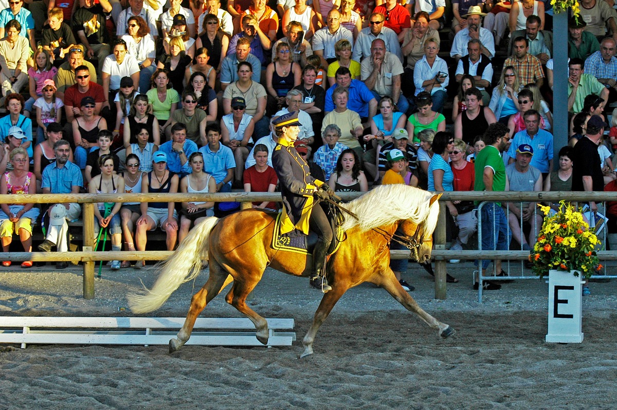 Das goldene Pferd mit dem goldenen Herz - BILD