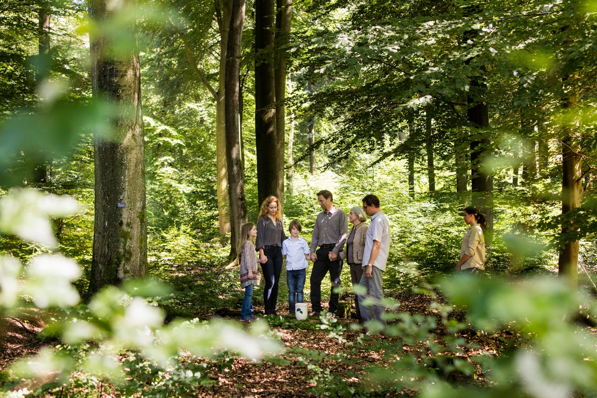 Am 25. April feiert man in Deutschland den Tag des Baumes / In einem FriedWald kommt dem Baum eine ganz besondere Bedeutung zu: Er ist Grabstätte, Tröster und Andachtsort