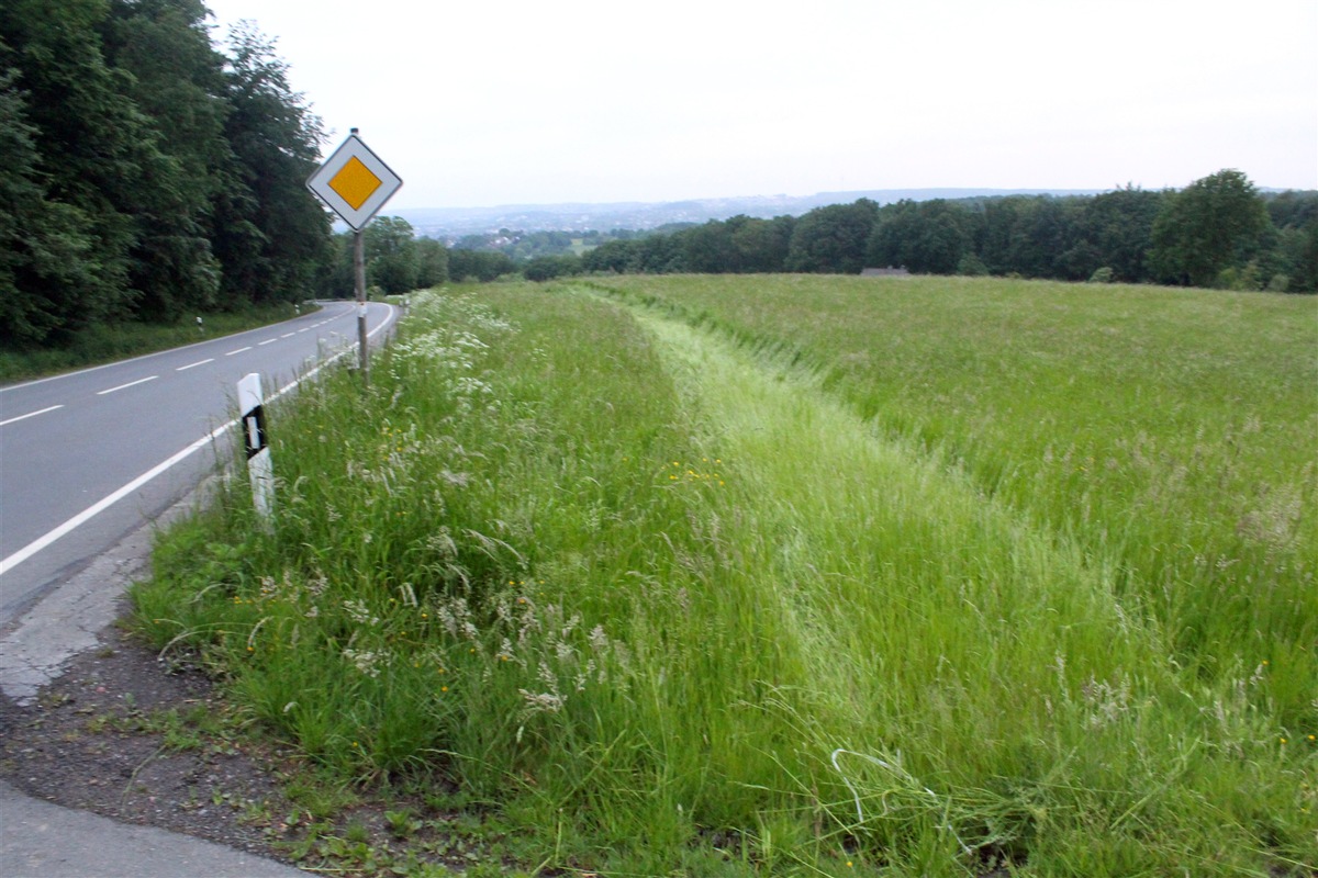 POL-UN: Schwerte - Internistischer Zwischenfall: Autofahrerin (38) fährt 200 Meter durch Feld und wird schwer verletzt