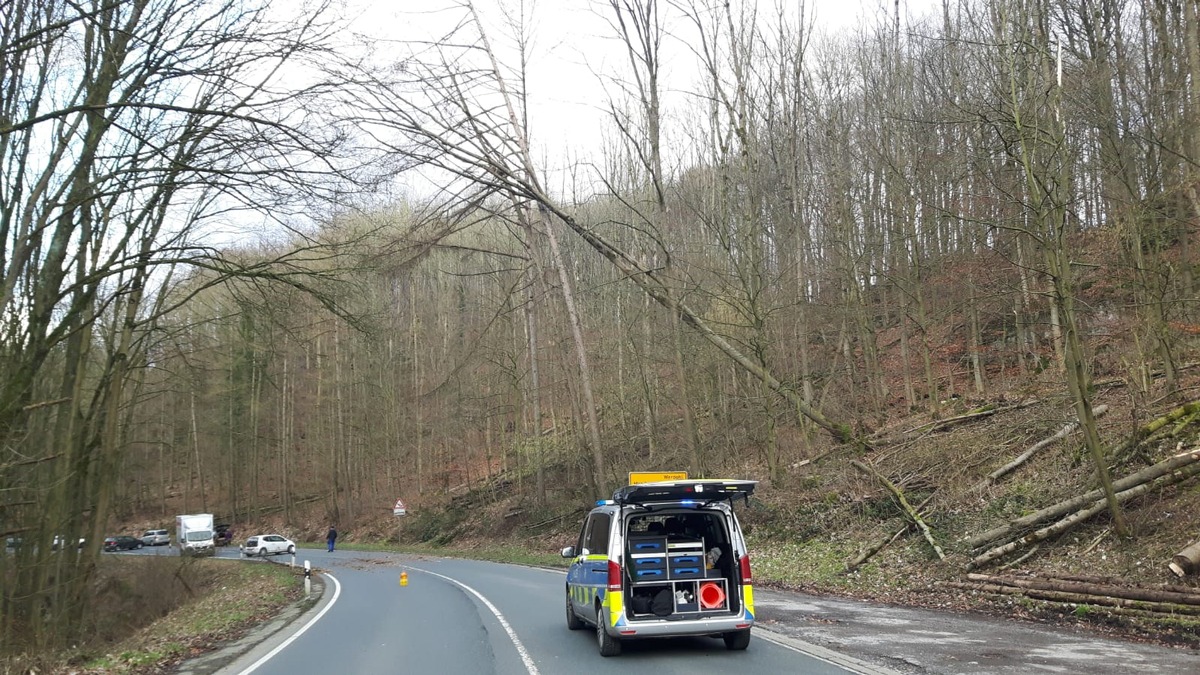 POL-MK: Baum über der Hönnetalstraße