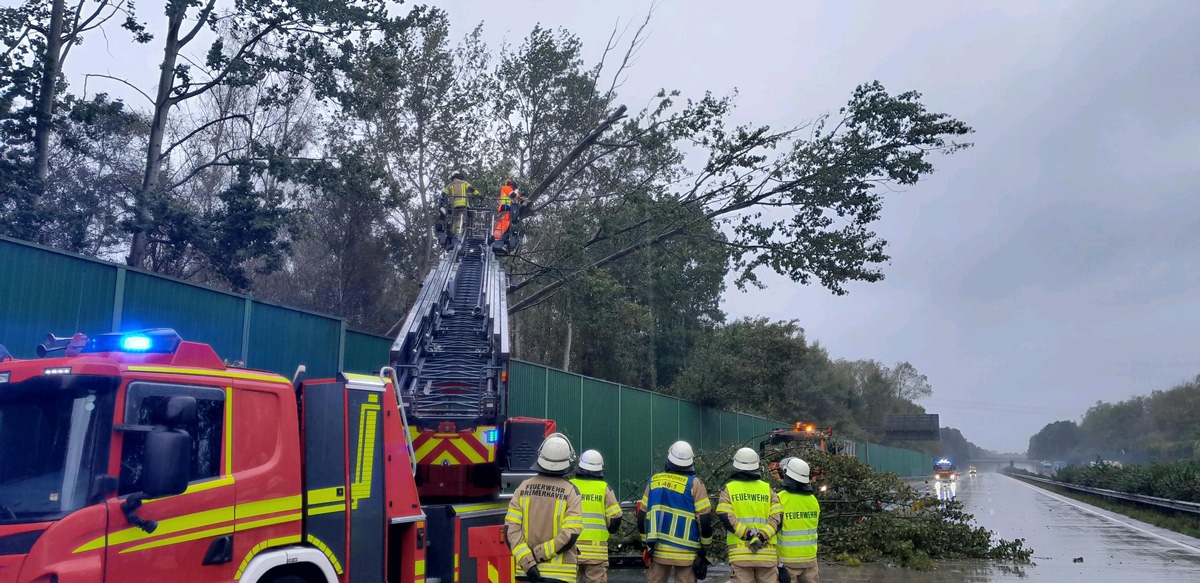 FW Bremerhaven: Mehrere Bäume zur BAB 27 umgeknickt