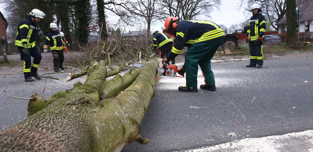 FFW Schiffdorf: Zu fallen drohender Ast wird durch Feuerwehr beseitigt