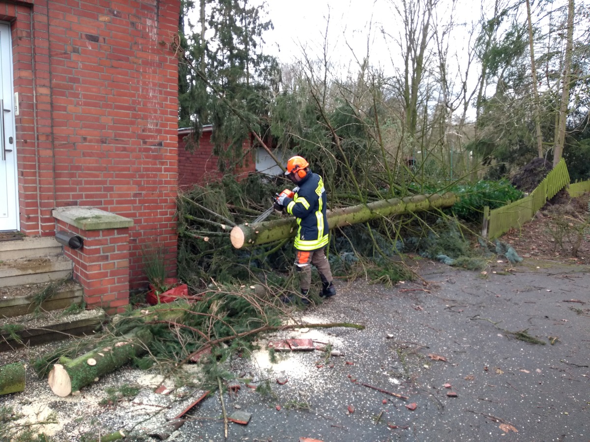 FW-WRN: TH_1 - LZ3 - Baum auf Straße