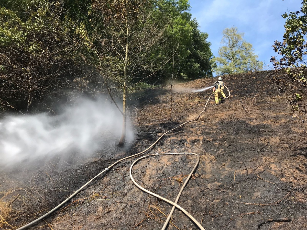 FW-Lohmar: Flächenbrand in Lohmar-Reelsiefen