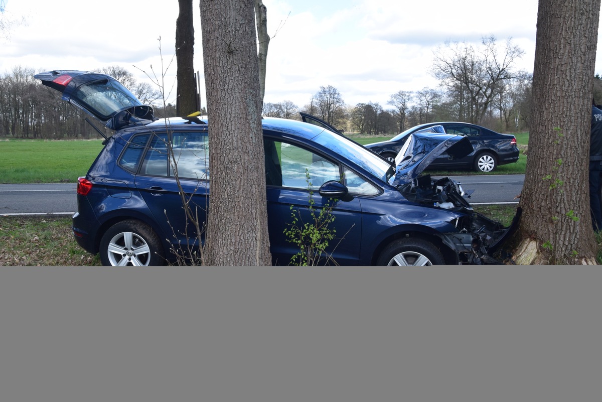 POL-WL: Harmstorf - Tödlicher Verkehrsunfall ++ Königsmoor - Von der Fahrbahn abgekommen und gegen Baum geprallt ++ Winsen - Bewaffneter Raubüberfall auf Getränkemarkt ++ und weitere Meldungen