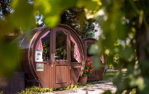 «Tiny House» auf dem Bauernhof: Neue Standorte gesucht