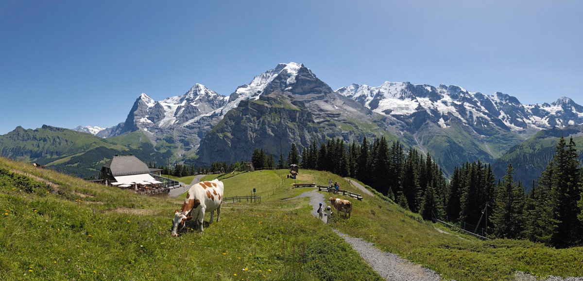 Aktiv am Schilthorn: Adrenalin und Entspannung / Mürren - Schilthorn als Aktiv-Erholungsgebiet im Sommer