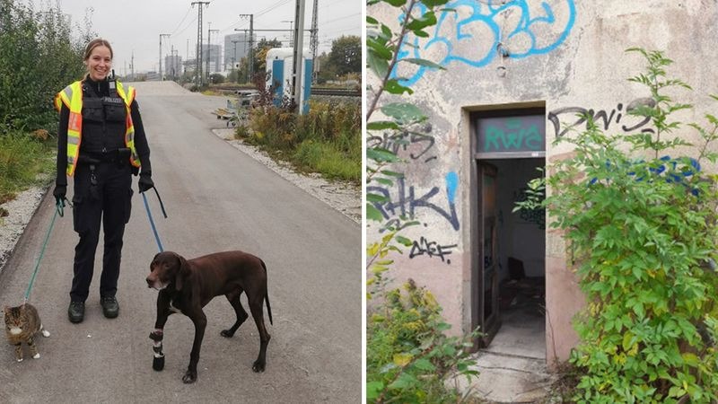 Bundespolizeidirektion München: Hund und Katze ins Tierheim