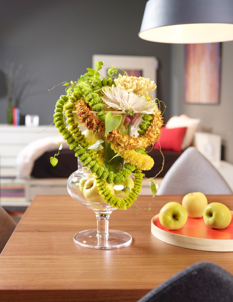 Chrystober: So wird der Oktober zum Monat der Chrysantheme (BILD)