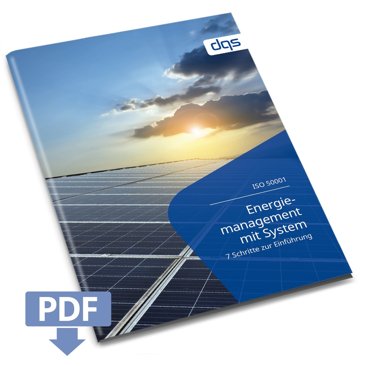 Whitepaper Energiemanagement / DQS unterstützt Unternehmen beim Einsparen von Kosten und Energie